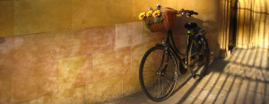 Bike leaning against college wall