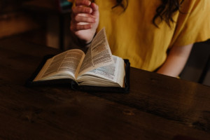 Photo of a person reading a book