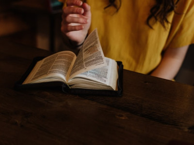 Photo of a person reading a book